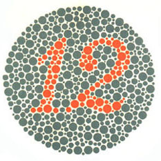 Ishihara Test 1